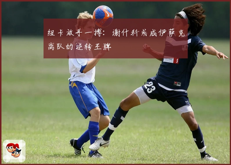 纽卡放手一搏：谢什科或成伊萨克离队的逆转王牌