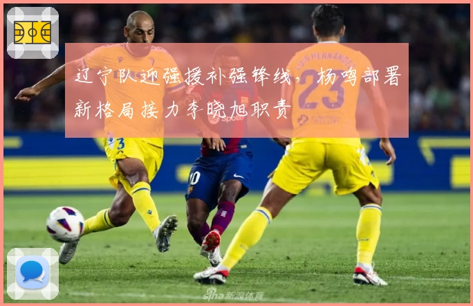 辽宁队迎强援补强锋线，杨鸣部署新格局接力李晓旭职责